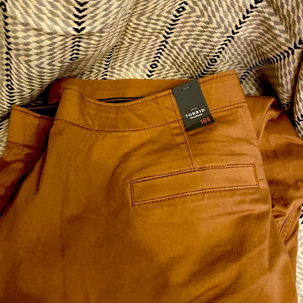 Torrid pants